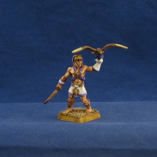 Painted asar warhawk hero - asar,
