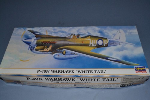 Hasegawa 40n warhawk - 1/72,