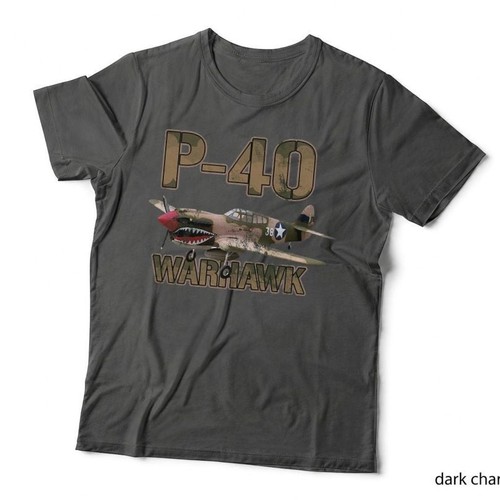 Warhawk wwii fighter - wwii,