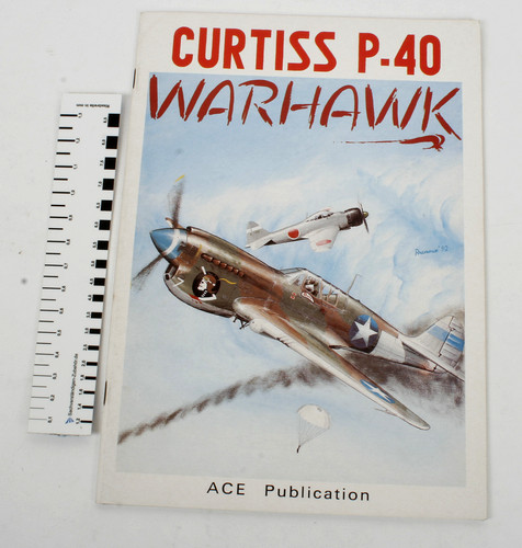 Curtiss warhawk ace - p-40,