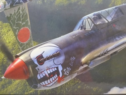 Curtiss 40n warhawk - 1/48,