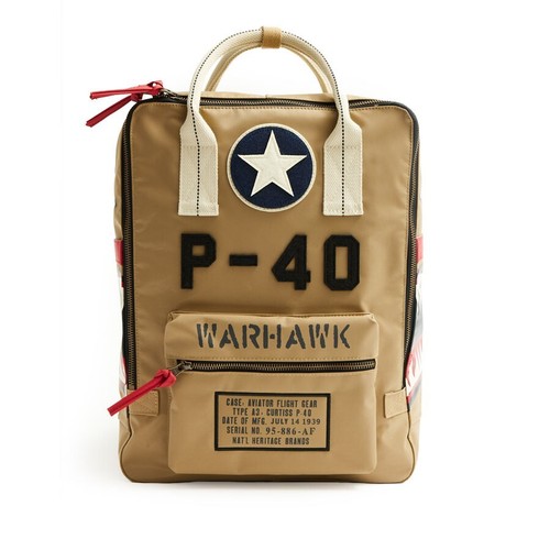 Curtiss warhawk flying - curtiss,