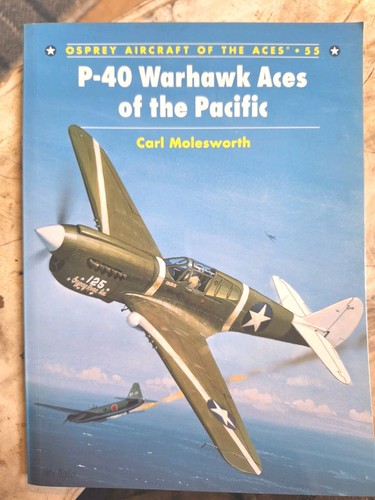 Warhawk aces of the - p-40,