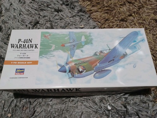 Hasegawa 40n warhawk - hasegawa, 1/72