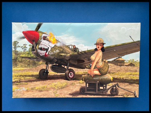 Eduard warhawk limited - eduard,